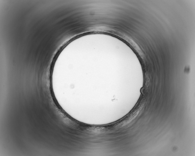 X0000102000939200808151444