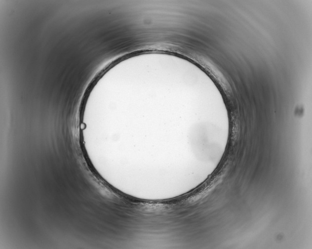 X0000102000940200808151444