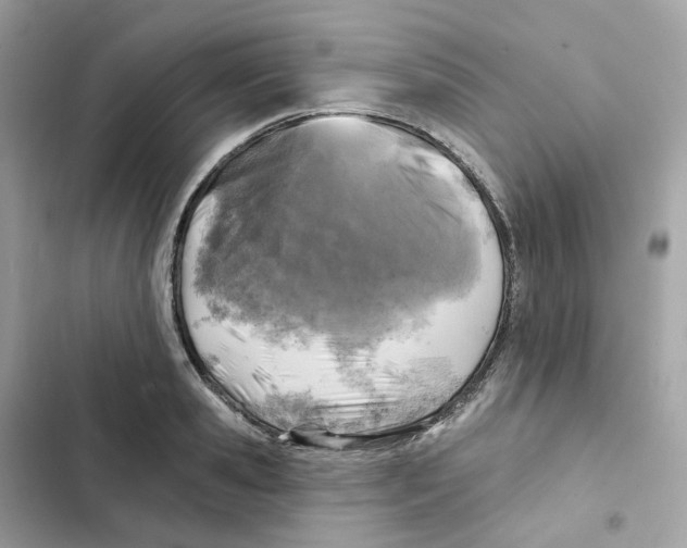 X0000102000941200808151444