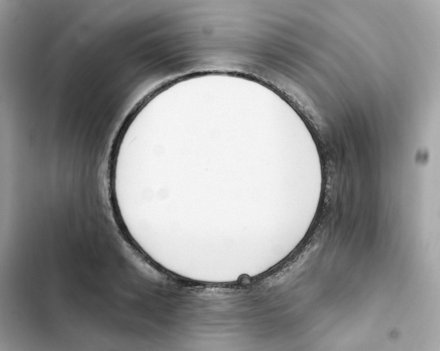 X0000102000942200808151444