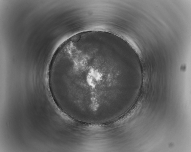 X0000102000944200808151444