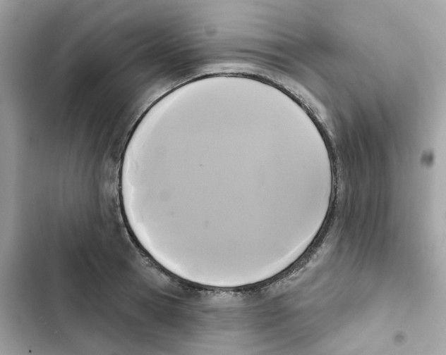 X0000102000945200808151444