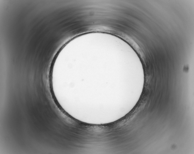 X0000102000947200808151444