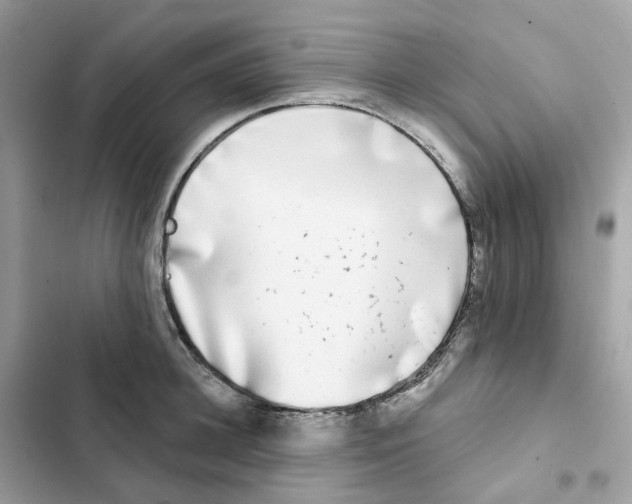 X0000102000948200808151444