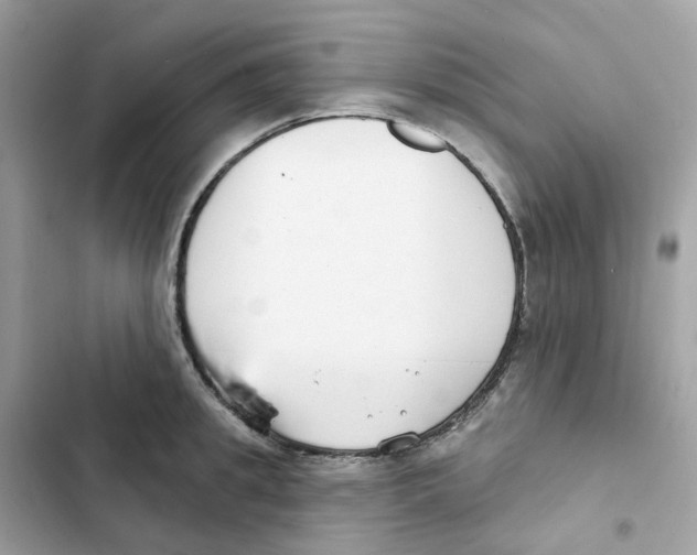 X0000102000949200808151444