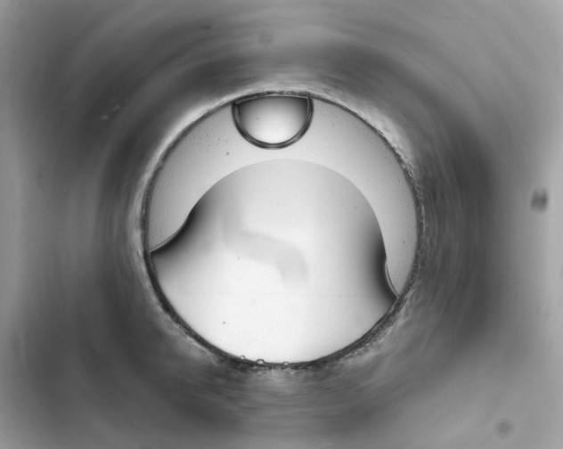 X0000102000950200808151444