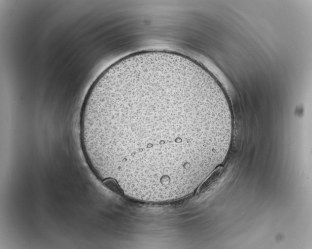 X0000102000951200808151444