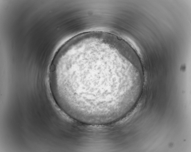 X0000102000952200808151444