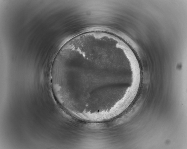 X0000102000953200808151444