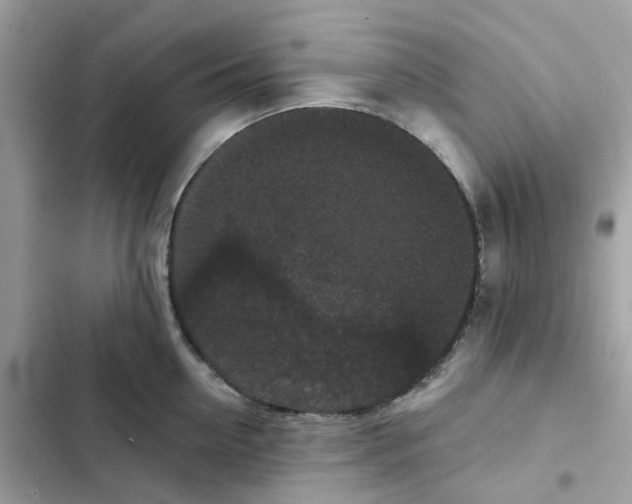 X0000102000954200808151444