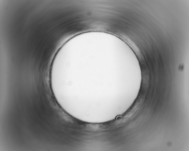 X0000102000956200808151444