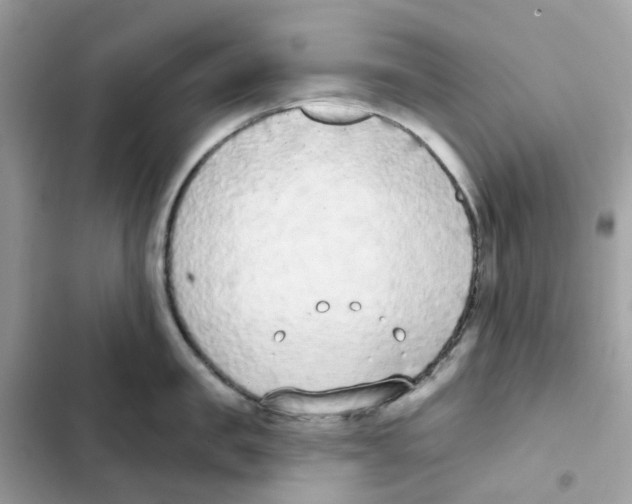 X0000102000957200808151444