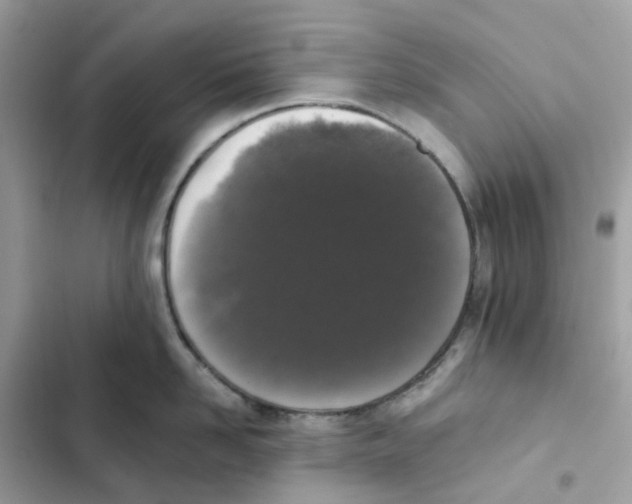 X0000102000958200808151444