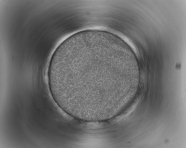 X0000102000959200808151444