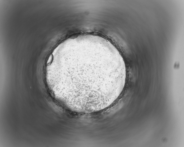 X0000102000961200808151443