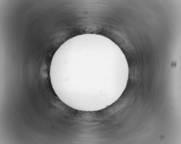 X0000102000962200808151443