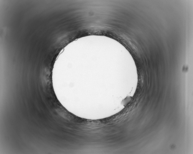 X0000102000964200808151443