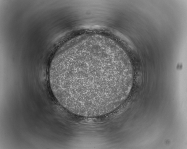 X0000102000966200808151443