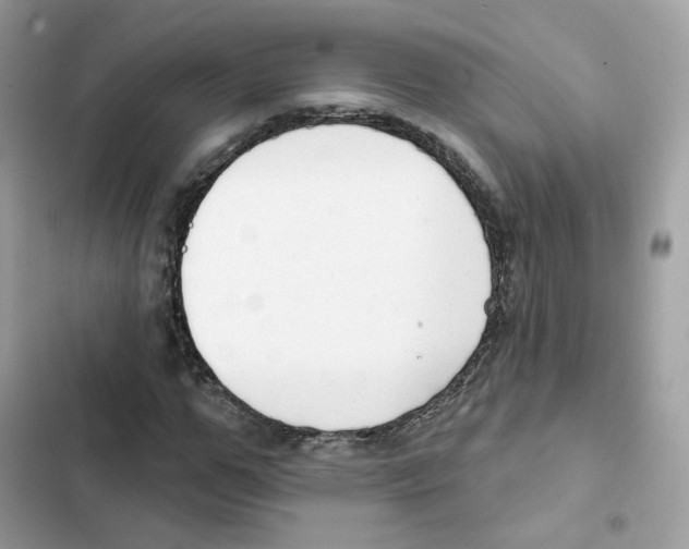 X0000102000967200808151443