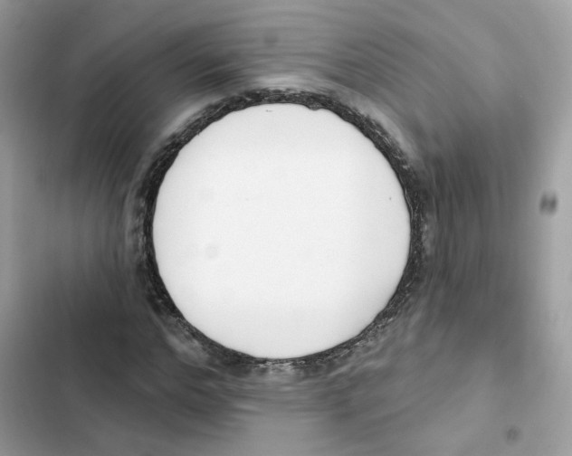 X0000102000968200808151443