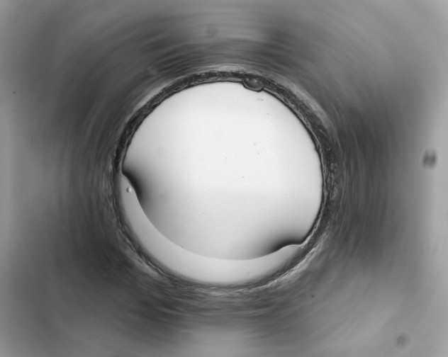 X0000102000969200808151443