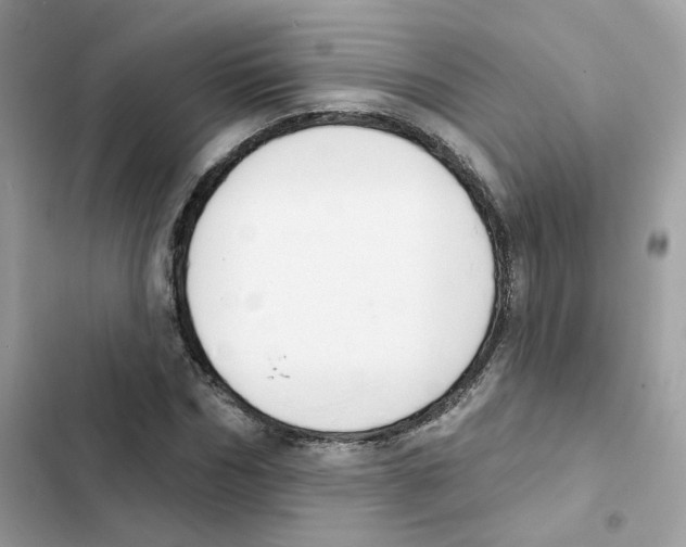 X0000102000970200808151443