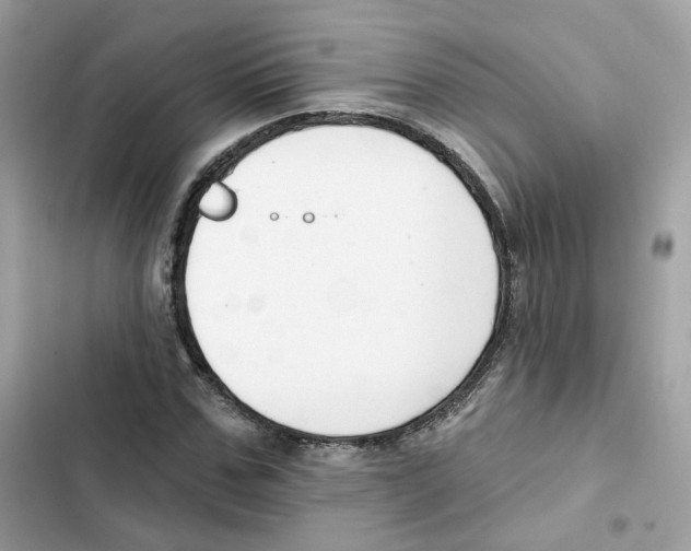 X0000102000971200808151443