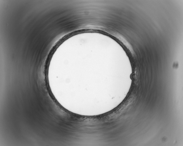 X0000102000972200808151443