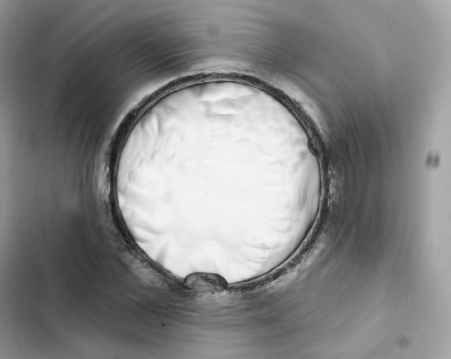 X0000102000973200808151443