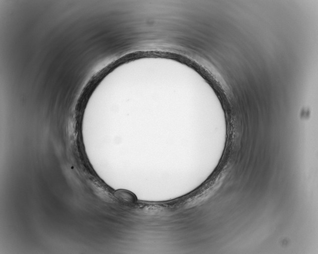 X0000102000974200808151443