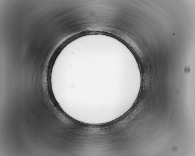 X0000102000976200808151443