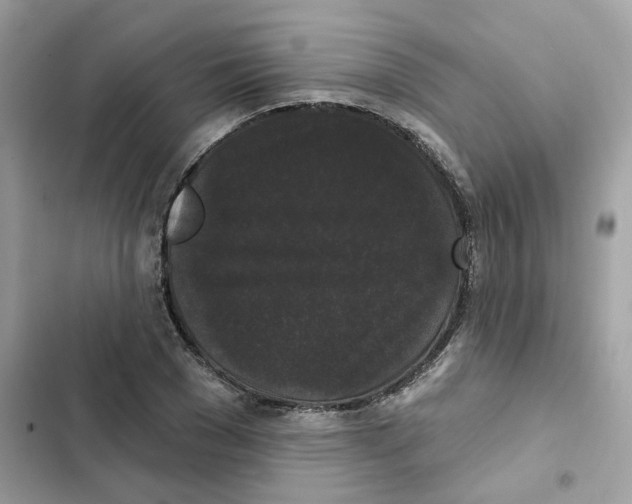 X0000102000977200808151443