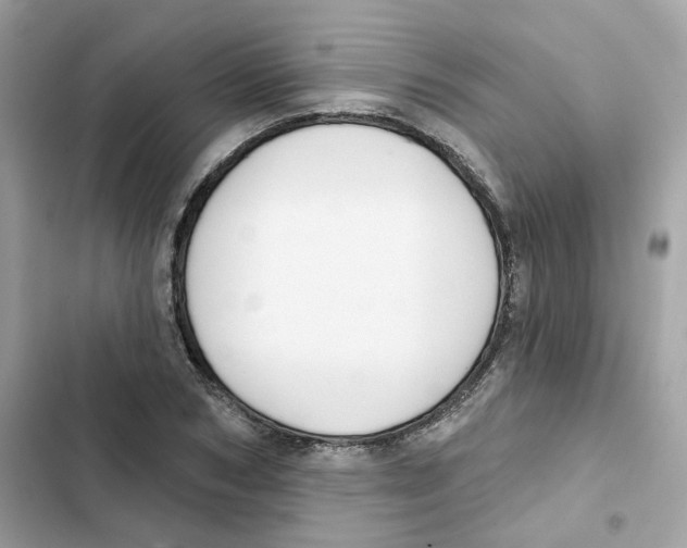 X0000102000978200808151443