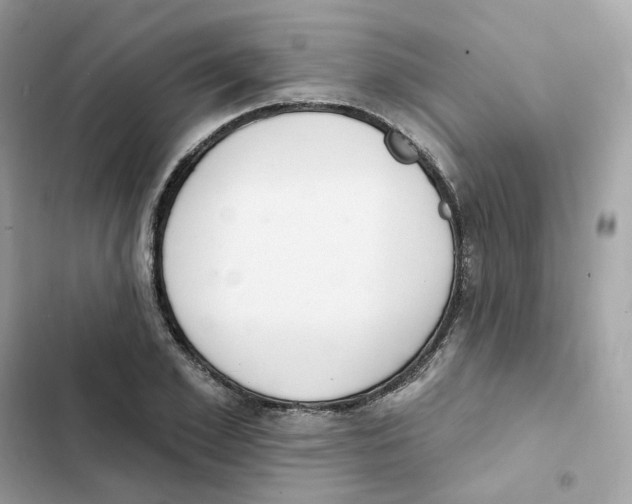 X0000102000981200808151443