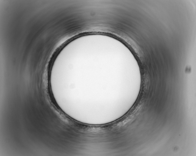 X0000102000982200808151443