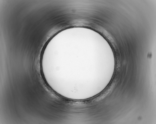 X0000102000986200808151443