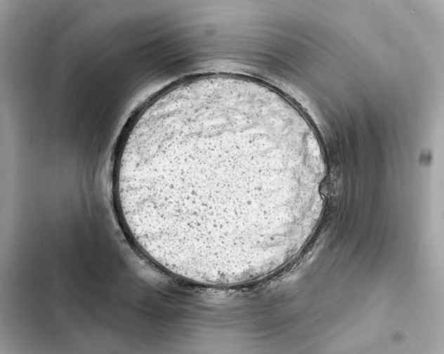 X0000102000987200808151443