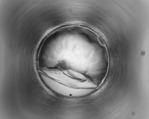 X0000102000989200808151443