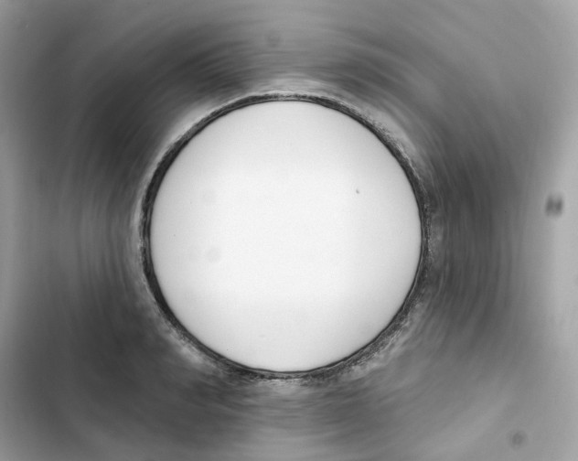 X0000102000990200808151443