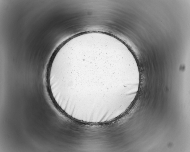 X0000102000991200808151443