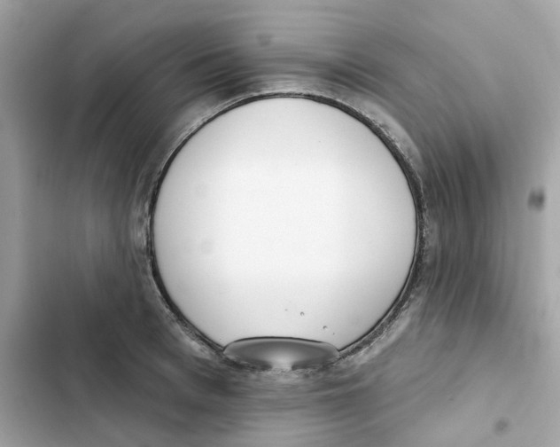 X0000102000993200808151443