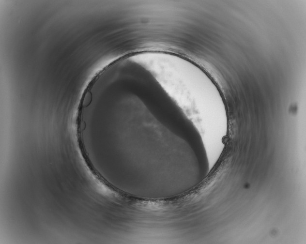 X0000102000995200808151443