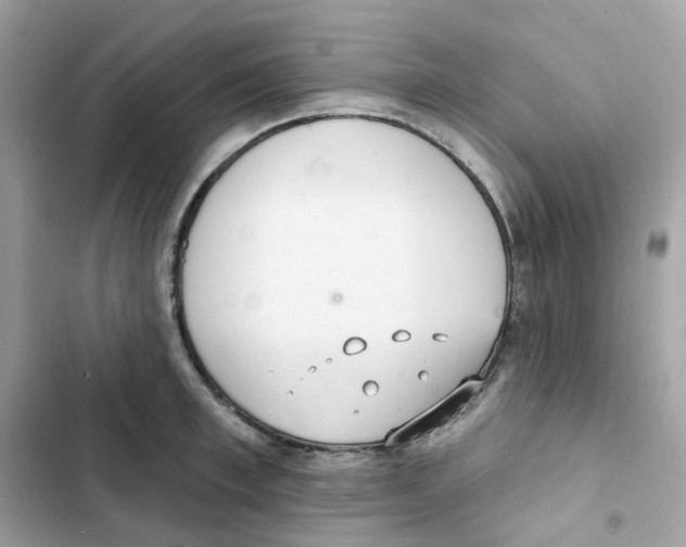 X0000102000997200808151443