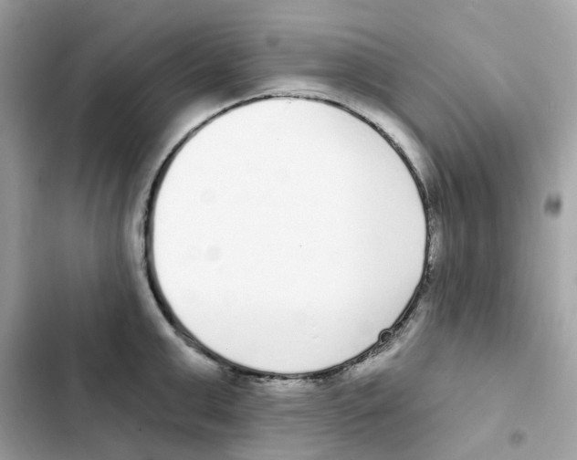 X0000102000999200808151443