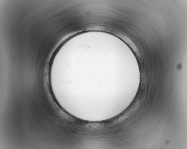 X0000102001000200808151443