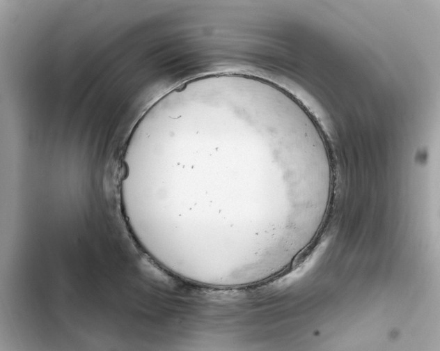 X0000102001001200808151443