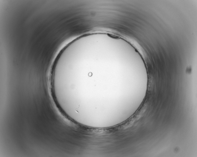 X0000102001003200808151443