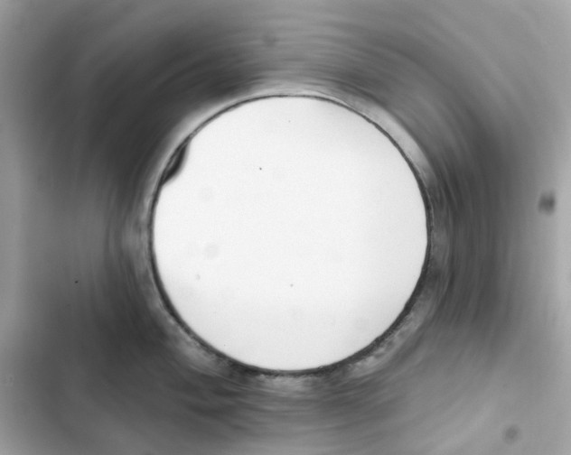 X0000102001004200808151443