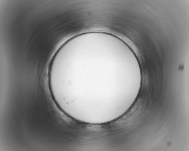 X0000102001006200808151443