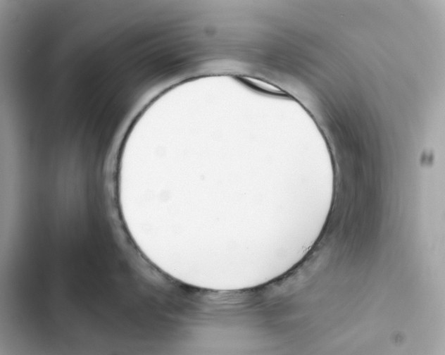 X0000102001008200808151443